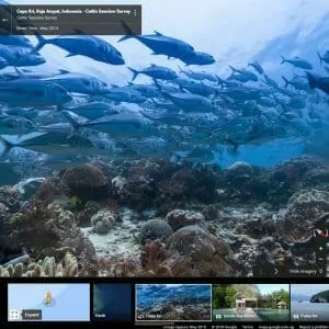 Google Oceans View