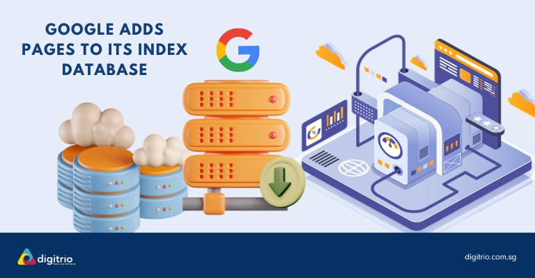 Google Index Pages to Database - Digitrio